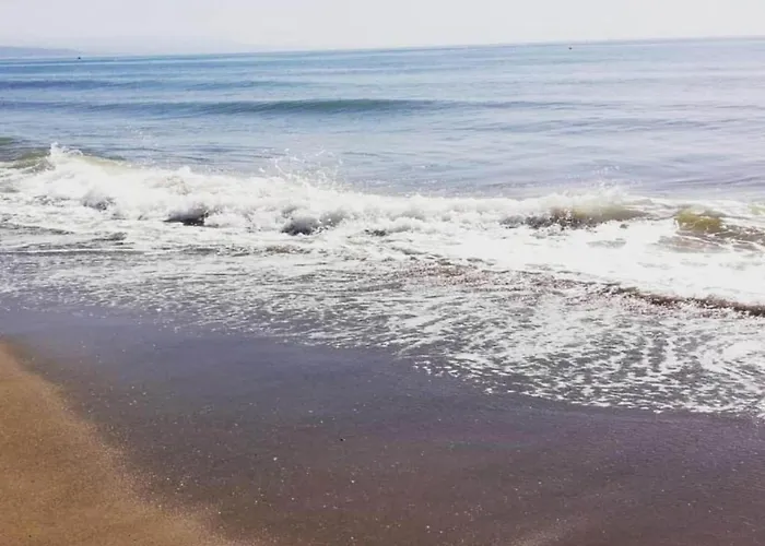 Apartment In Near Beaches